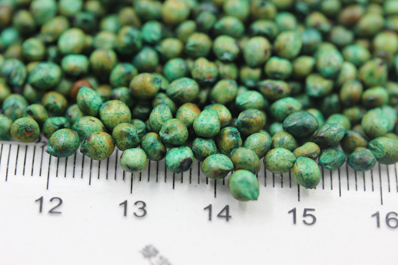 大力士甜高粱種子 大力士甜高粱種子