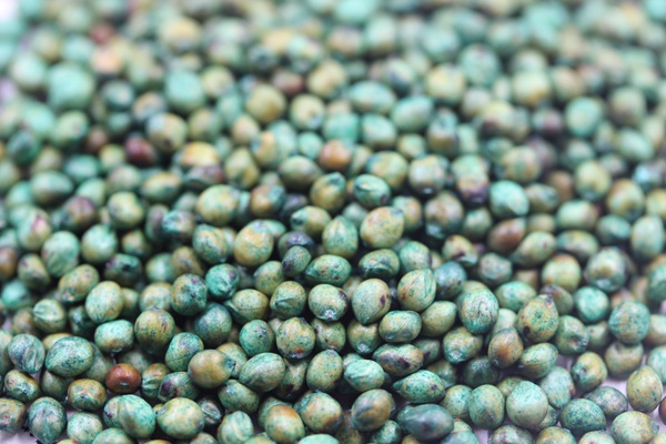 大力士甜高粱可以留種子嗎？