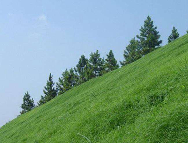 適合披堿草種植的地區(qū) 適合披堿草種植的地區(qū)