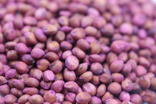 高丹草種子播種后幾天發(fā)芽 高丹草種子播種后幾天發(fā)芽