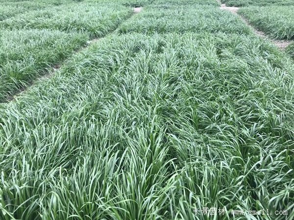 ?¤???????é??éo|è??