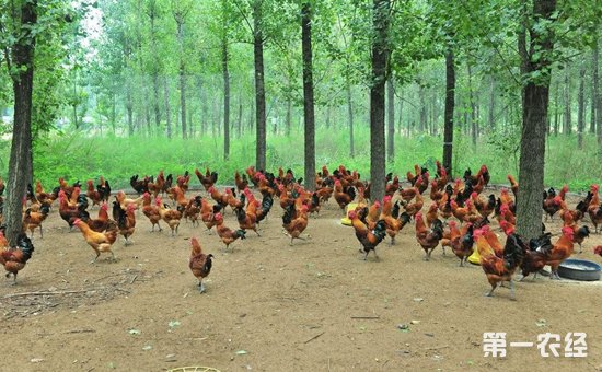 1570502959570419.jpg 2039-1G22Q6042E64.jpg