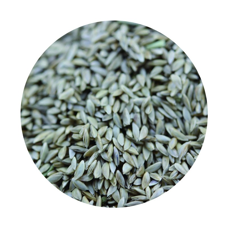 百慕大.jpg 百慕大.jpg