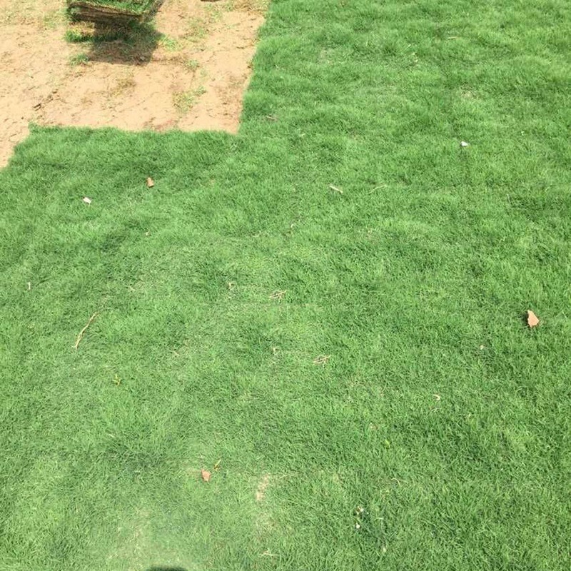 百慕大.jpg 百慕大.jpg