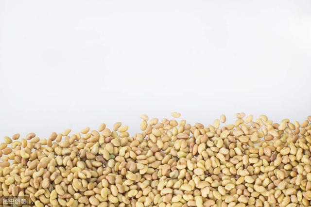 紫花苜蓿牧草種子種植技術(shù)及在畜牧生產(chǎn)中的應(yīng)用 紫花苜蓿牧草種子種植技術(shù)及在畜牧生產(chǎn)中的應(yīng)用