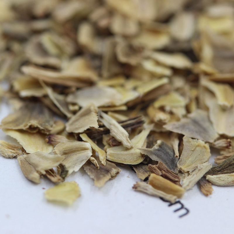 花環(huán)菊 花環(huán)菊