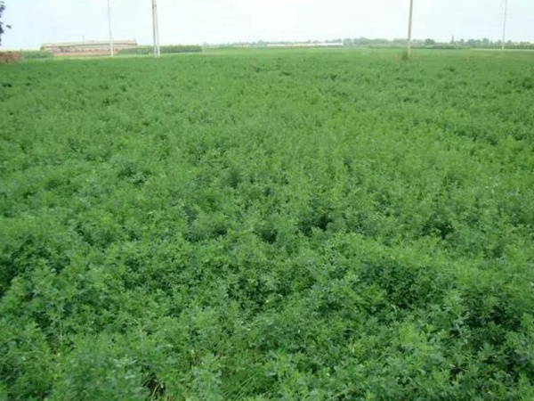 1589362170941574.jpg 微信圖片_20200513172729.jpg