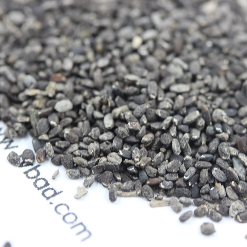 留蘭香薄荷 留蘭香薄荷