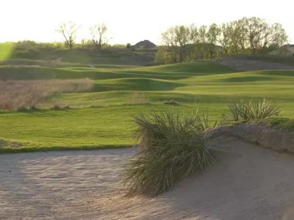 早熟禾與匍匐剪股穎這兩種草坪有什么區別？