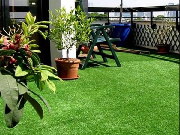 果嶺草管理方法以及播種養護技術 果嶺草管理方法以及播種養護技術