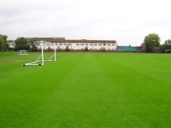 哪里有賣高爾夫球場的草坪種子，哪家種子質量有保障？