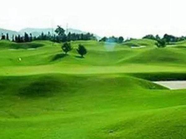 矮生百慕大草坪種子如何種植 矮生百慕大草坪種子如何種植