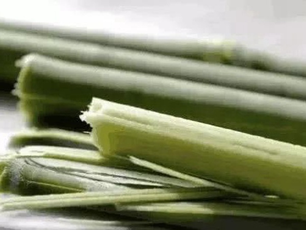 故鄉的回憶《老家的甜高粱》 故鄉的回憶《老家的甜高粱》