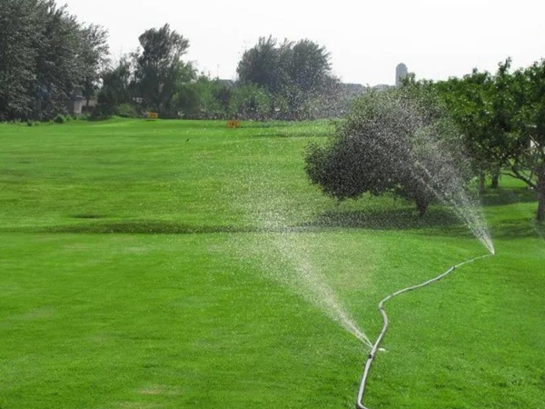 草坪養護 | 夏季管理管理技術要點與栽培方法 草坪養護 | 夏季管理管理技術要點與栽培方法
