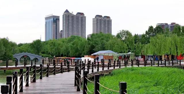 哪里有綠化草坪草種賣?去哪買比較好? 哪里有綠化草坪草種賣?去哪買比較好?