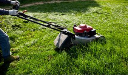 草坪怎么樣修剪才是正確的，什么方法比較好？