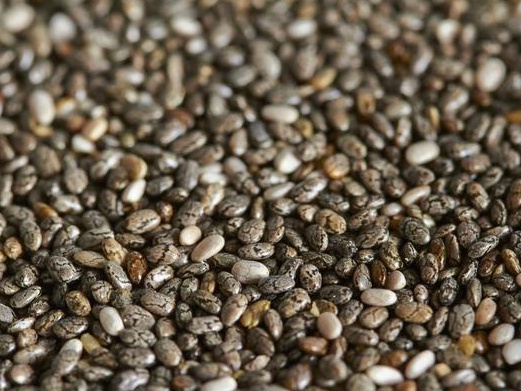 紫云英栽培技術以及田間管理方法 紫云英栽培技術以及田間管理方法