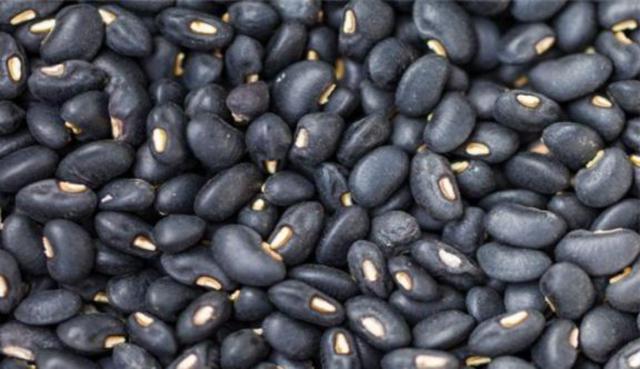 黑豆怎么樣種植?如何提高黑豆高產(chǎn)量? 黑豆怎么樣種植?如何提高黑豆高產(chǎn)量?