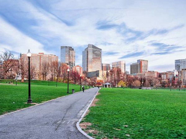 草坪生活中有很多,草坪的種類有哪些? 草坪生活中有很多,草坪的種類有哪些?