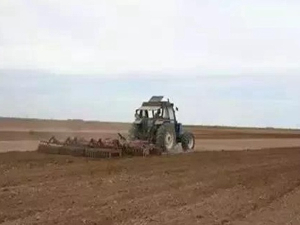 紫花苜蓿春季播種栽培技術 紫花苜蓿春季播種栽培技術