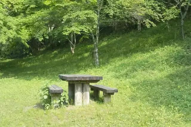 草坪有哪幾種分類(lèi)你知道嗎? 草坪有哪幾種分類(lèi)你知道嗎?