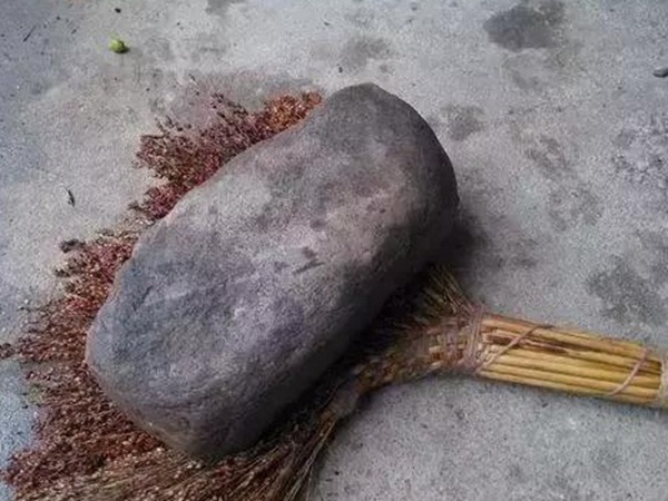 故鄉的回憶《老家的甜高粱》 故鄉的回憶《老家的甜高粱》