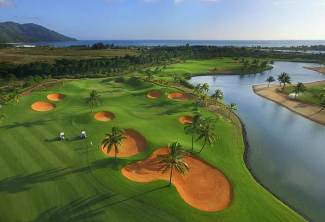 一次種植,多次收益的優(yōu)質(zhì)牧草——多年生黑麥草 一次種植,多次收益的優(yōu)質(zhì)牧草——多年生黑麥草