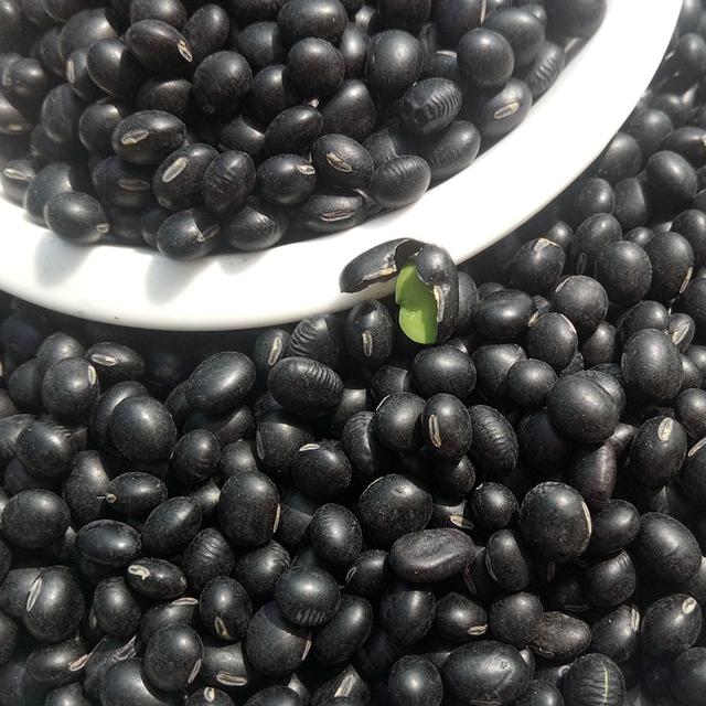 黑豆優質高產栽培技術與后期管理方法 黑豆優質高產栽培技術與后期管理方法