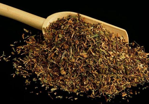 要想小米草種的好，要學會種植的技巧與方法