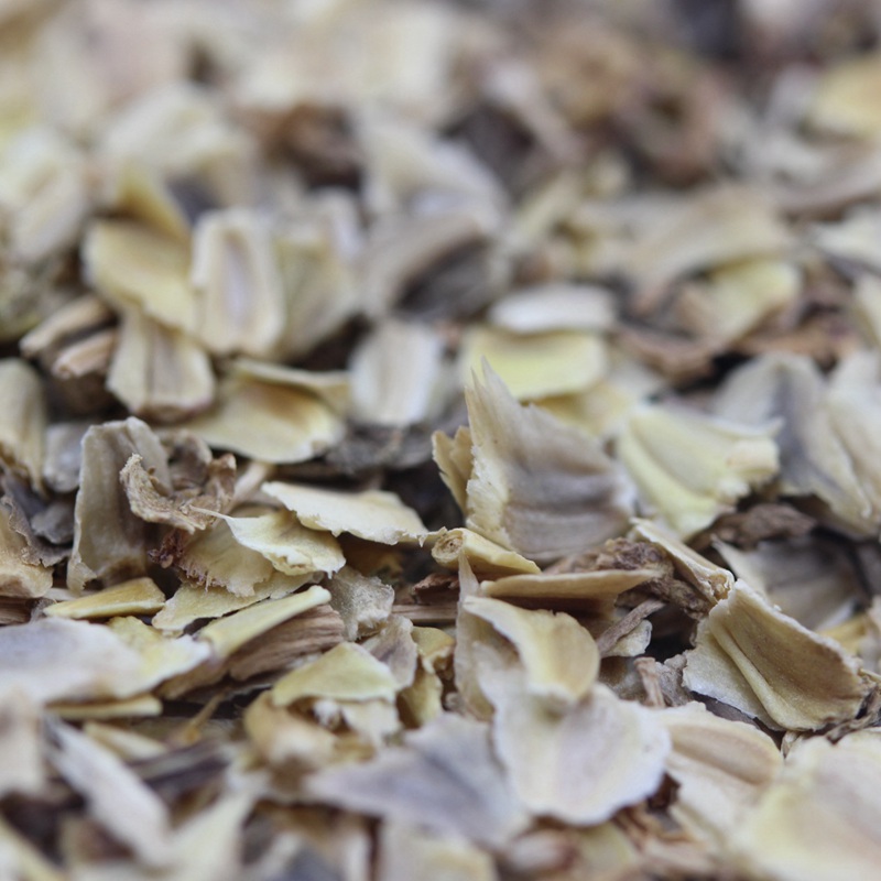 花環(huán)菊 花環(huán)菊