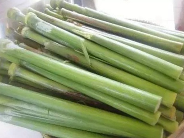 故鄉的回憶《老家的甜高粱》 故鄉的回憶《老家的甜高粱》