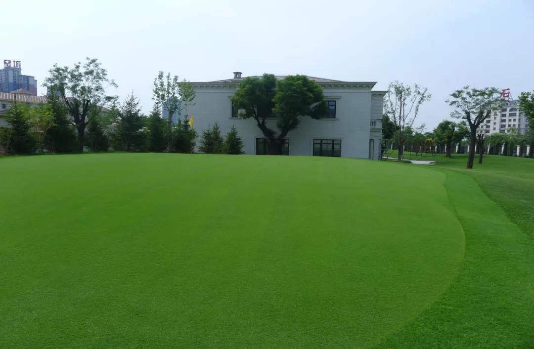 草坪如何才能美如畫，需要這幾個(gè)步驟