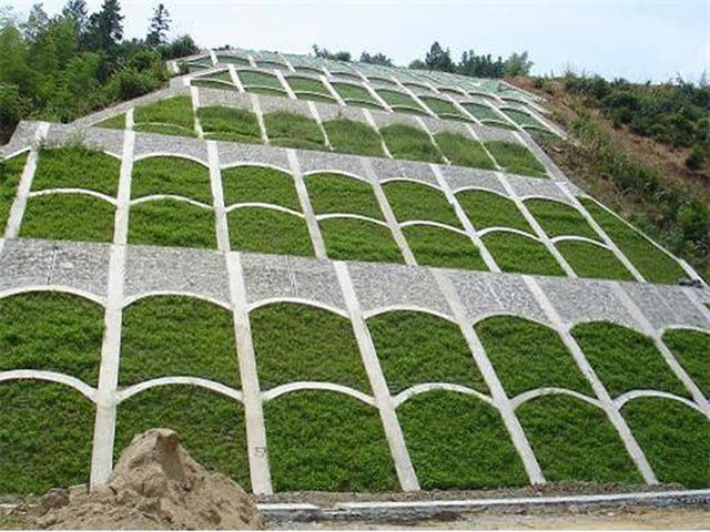 生命力頑強(qiáng)、耐踐踏又美觀的狗牙根草坪 生命力頑強(qiáng)、耐踐踏又美觀的狗牙根草坪