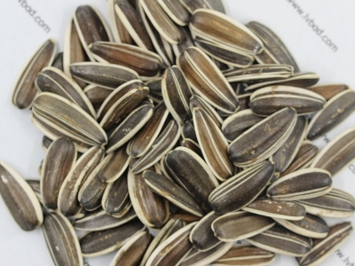 油葵種子