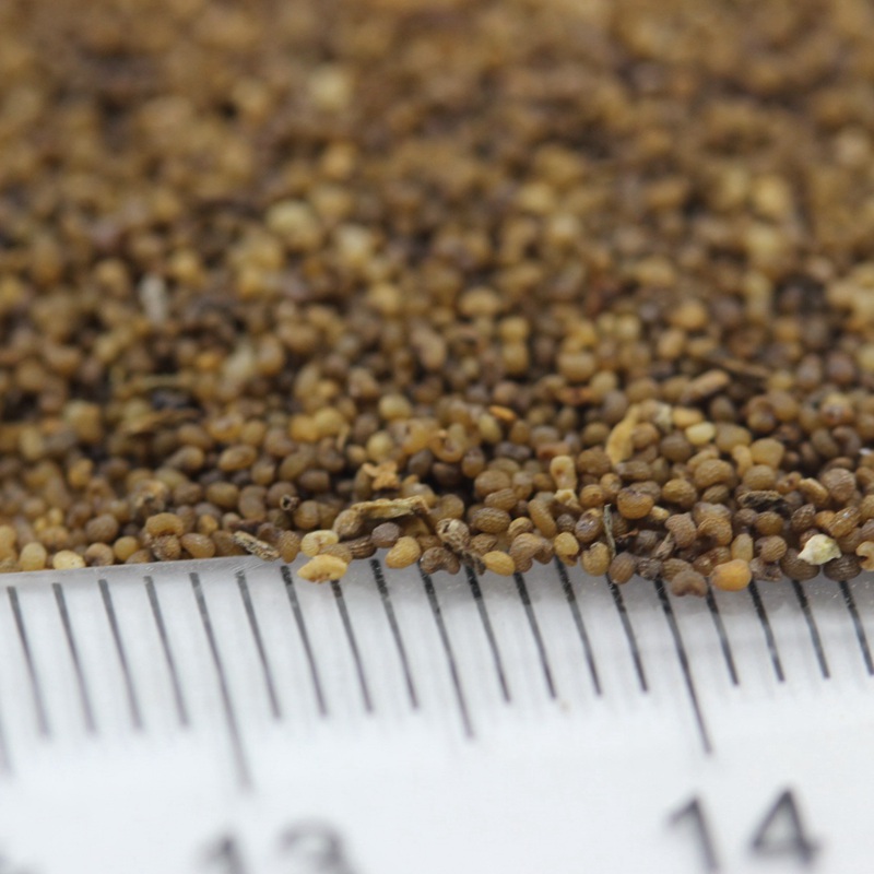 虞美人混色 虞美人混色