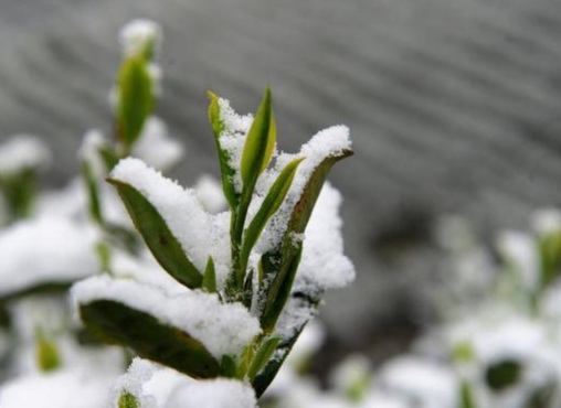 1626056992515192.jpg image.jpg