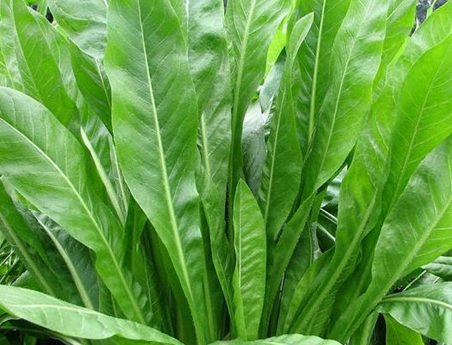 1626404031644311.jpg image.jpg