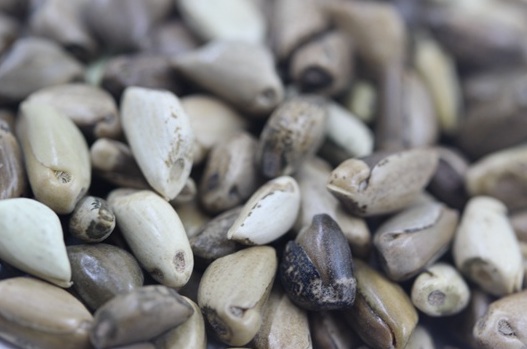 1626536696227692.jpg image.jpg