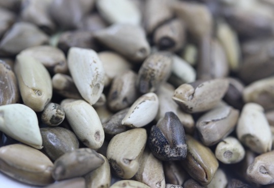 1626536986410237.jpg image.jpg