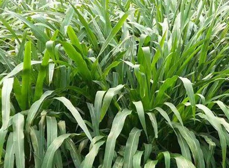 1626537104668852.jpg image.jpg