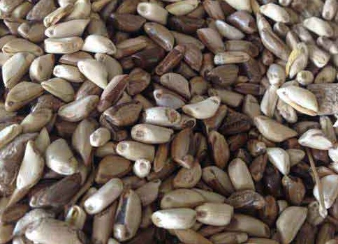 1626537140114846.jpg image.jpg