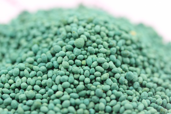 天堂草種子 天堂草種子