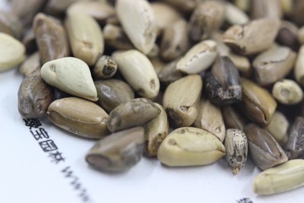 ?¢¨è¥???¥????±3è???§??-?