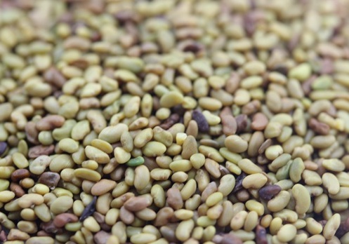 1626957793299394.jpg image.jpg