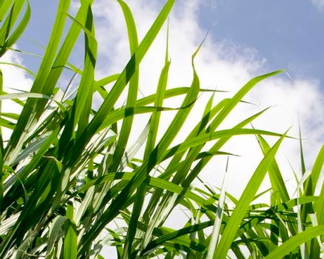 1627038930781066.jpg image.jpg