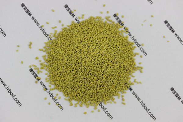 高爾夫球場草坪草品種 高爾夫球場草坪草品種