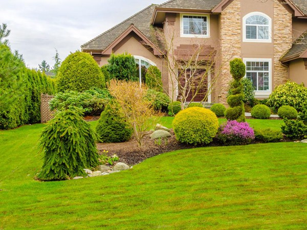 別墅草坪用什么品種好 別墅草坪用什么品種好