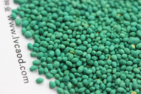 馬尼拉草坪多少錢(qián)一方