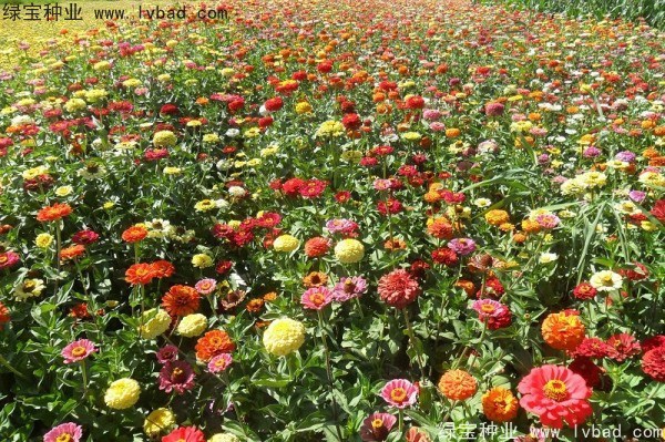 1627224936964330.jpg image.jpg