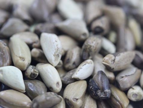 1627274548118992.jpg image.jpg